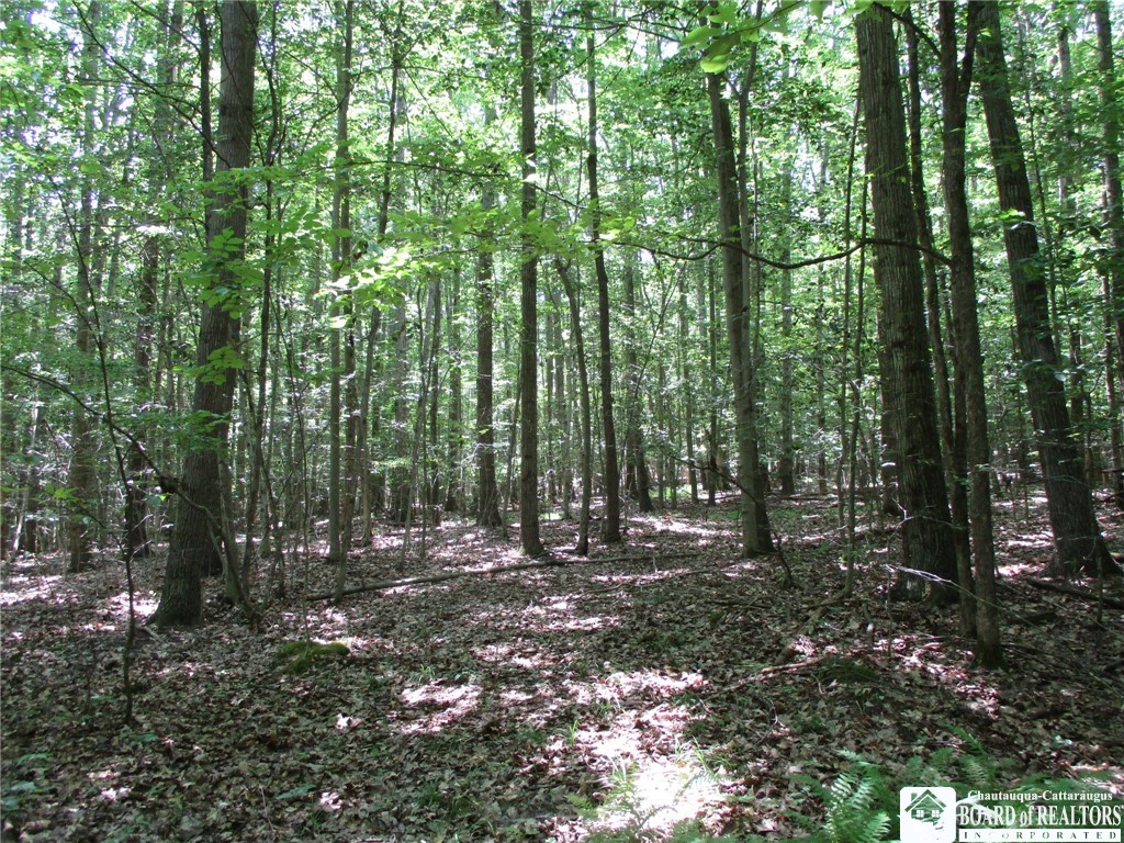 photo 2 :  Snowball Hollow Road, Scio NY 14880