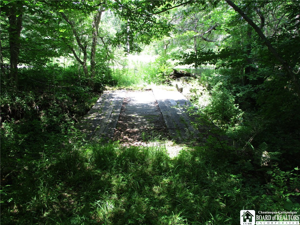 photo 3 :  Snowball Hollow Road, Scio NY 14880