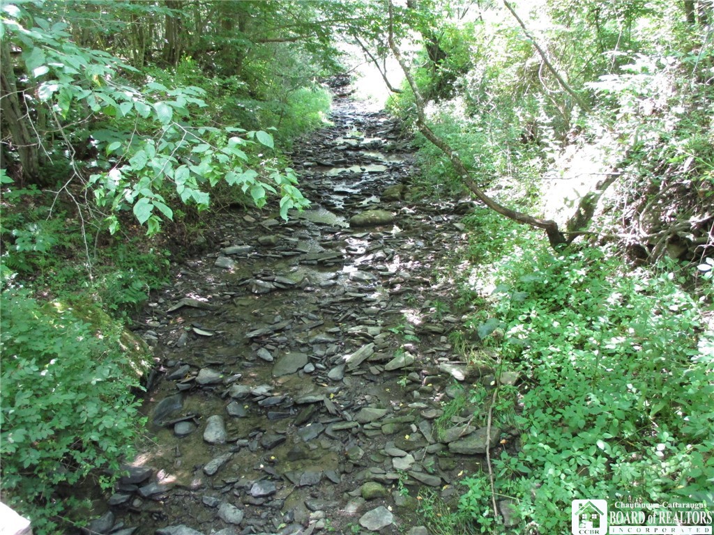 photo 4 :  Snowball Hollow Road, Scio NY 14880