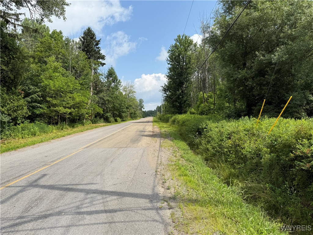 photo undefined: 10103 South Hill Road, Concord NY 14141