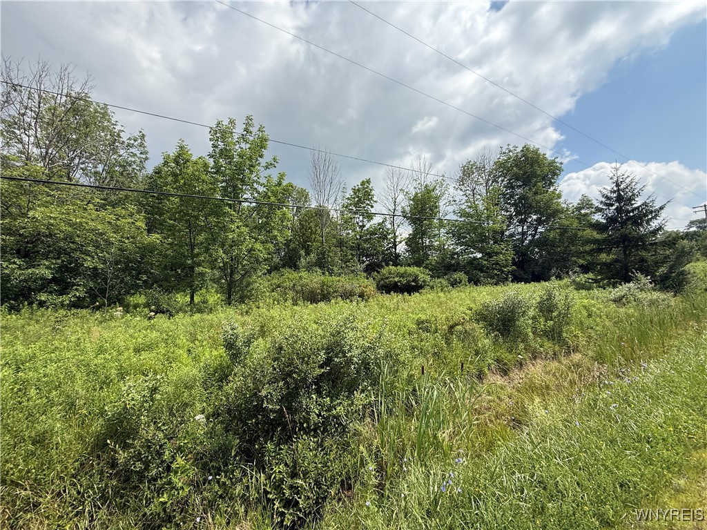 photo 3 : 10103 South Hill Road, Concord NY 14141