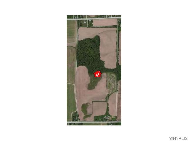 photo 0: 0 COUNTY HOUSE Road, Albion NY 14411