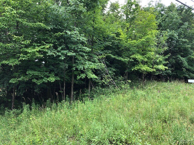 photo undefined: 439 SPINDLE Lane, Watertown City NY 13601