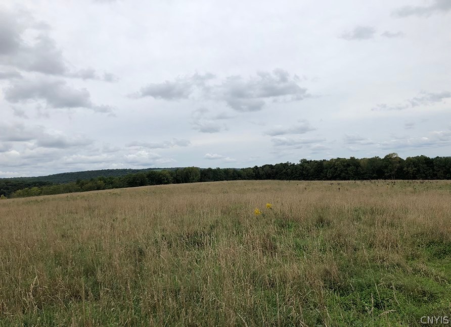 photo 0: 00 County Road 36, Guilford NY 13780