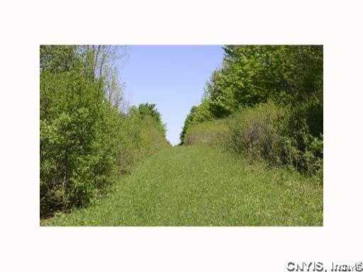 photo 3 : 0000 Split Rock Road, Onondaga NY 13031