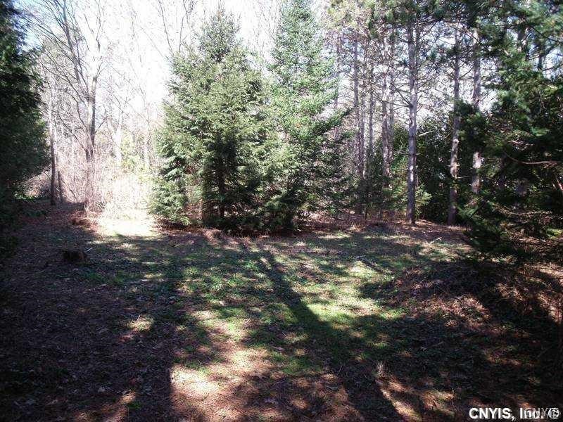 photo 0: Lot 0 Seneca Beach Drive, Van Buren NY 13027