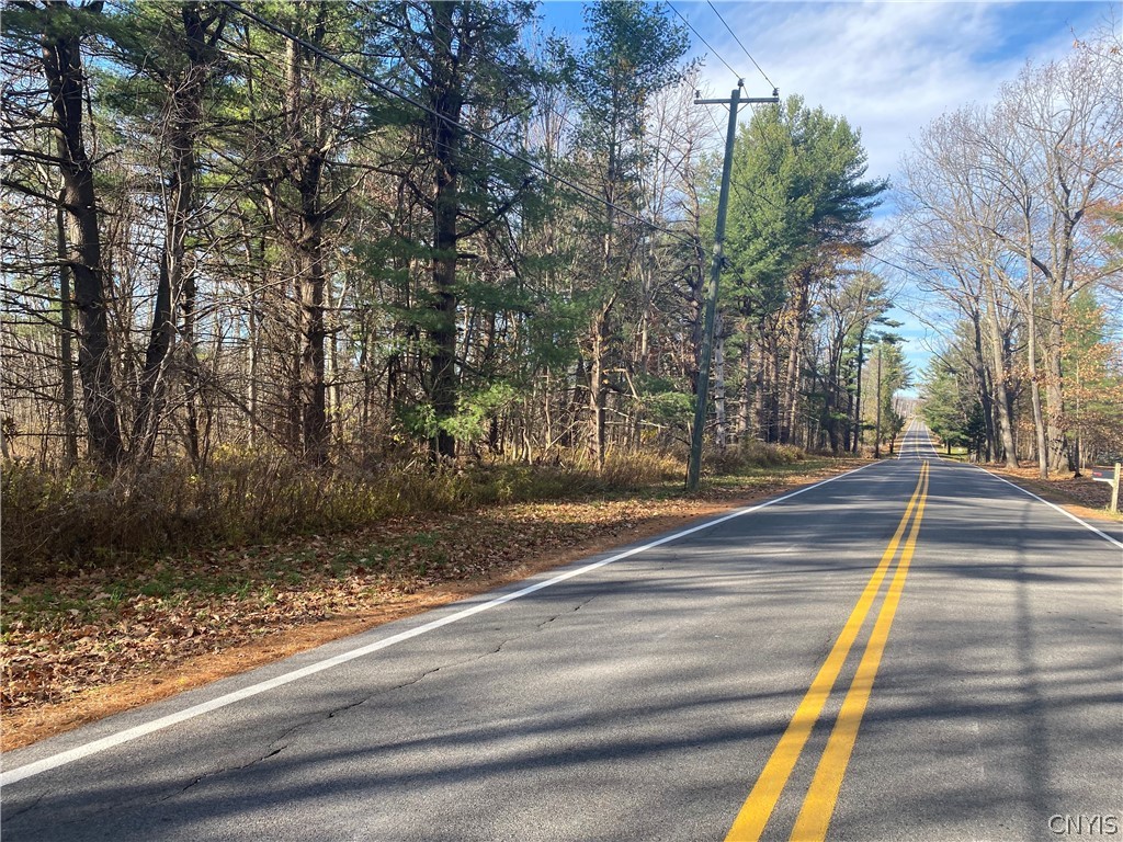 photo 0: 0 West Lake Road, Cazenovia NY 13035