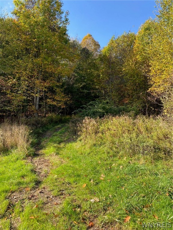 photo undefined: V/L Hillcroft Drive, Boston NY 14025