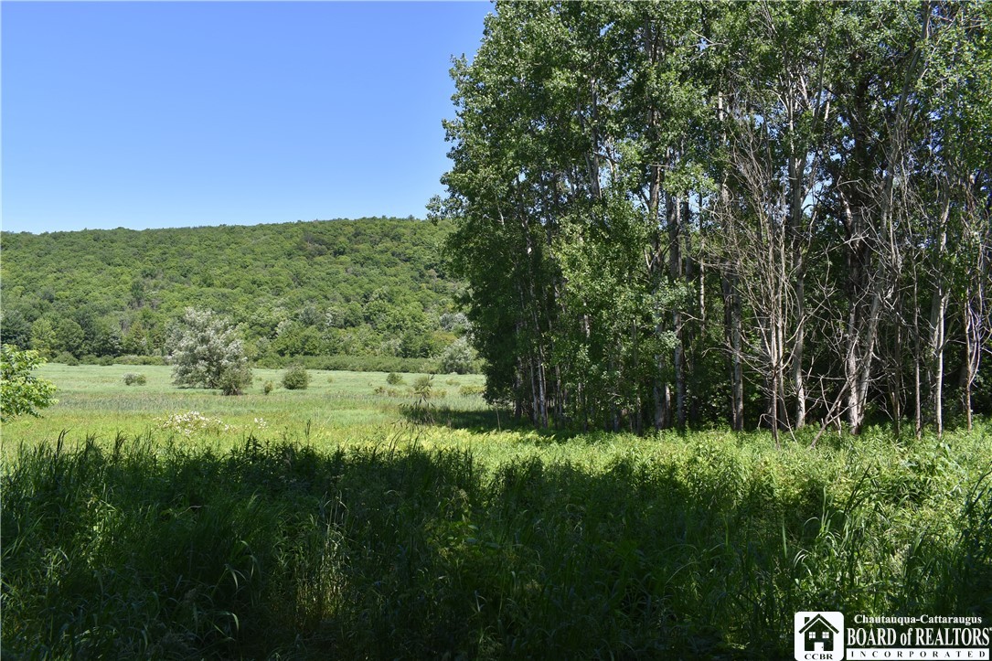 photo 0: 0 Farrington Hollow, Cherry Creek NY 14723