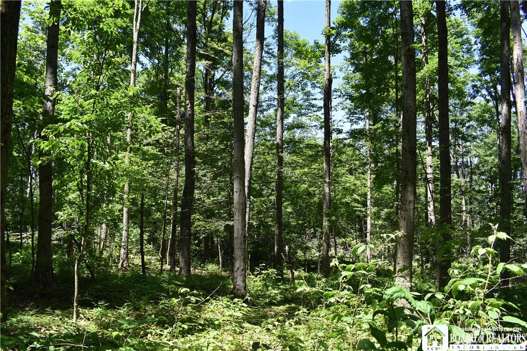 photo 1 : 0 Farrington Hollow, Cherry Creek NY 14723