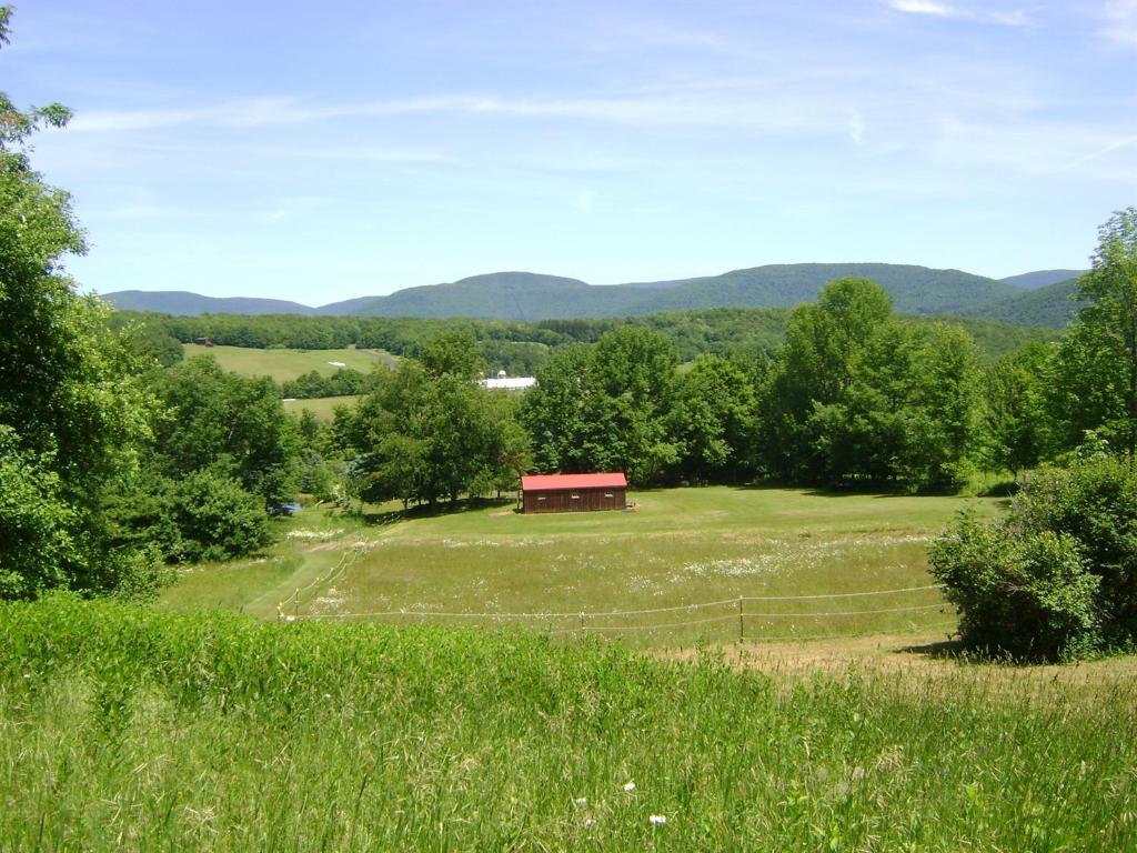 photo 2 : 1187 Lower Meeker Hollow Road, Roxbury NY 12474