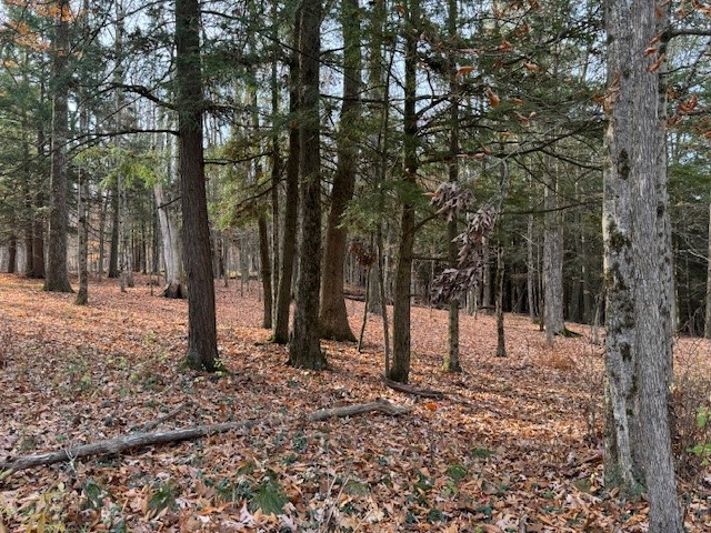photo undefined: 5083 Bolivar Road, Scio NY 14895