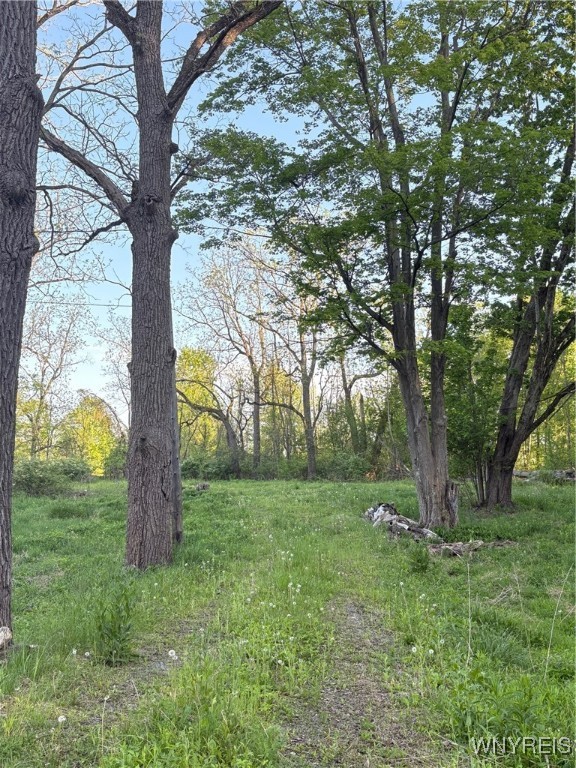 photo undefined: 1441 Sturgeon Point Road, Evans NY 14047