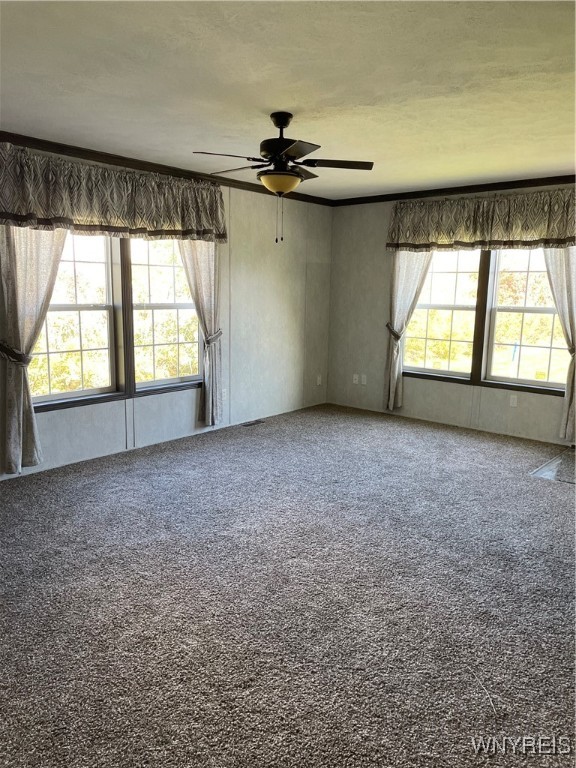 photo 3 : 51 Ritchie Lot #60 Avenue, Tonawanda NY 14150