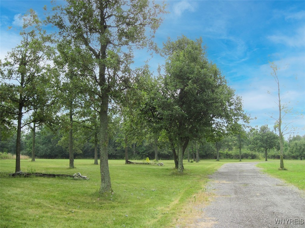 photo undefined: 5129 Kraus Lane, Clarence NY 14031