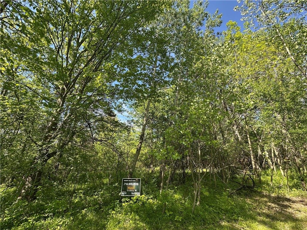 photo undefined:  Greenfield Parkway, Hamburg NY 14075