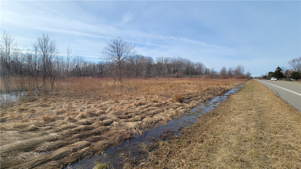 photo undefined:  Lake Road, Porter NY 14131