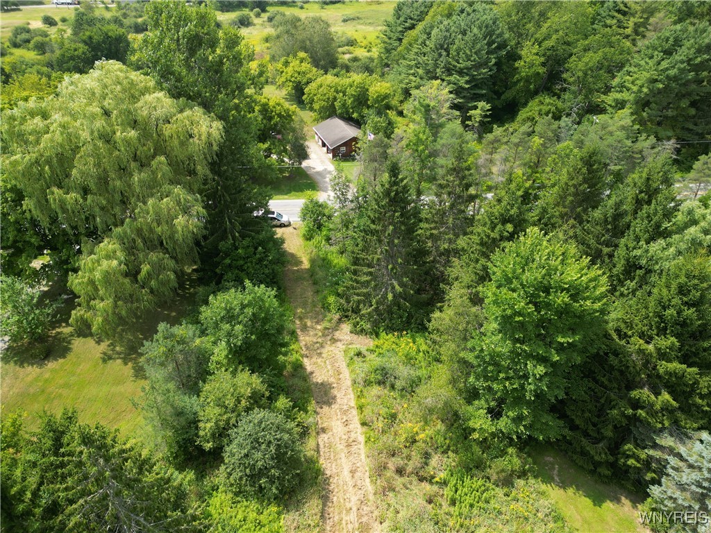 photo D4SeDWQppWWibbV1Zd-L:  Hayes Hollow Road, Colden NY 14033