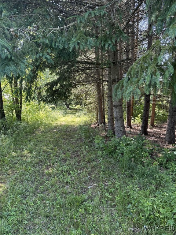 photo 1 :  Hayes Hollow Road, Colden NY 14033