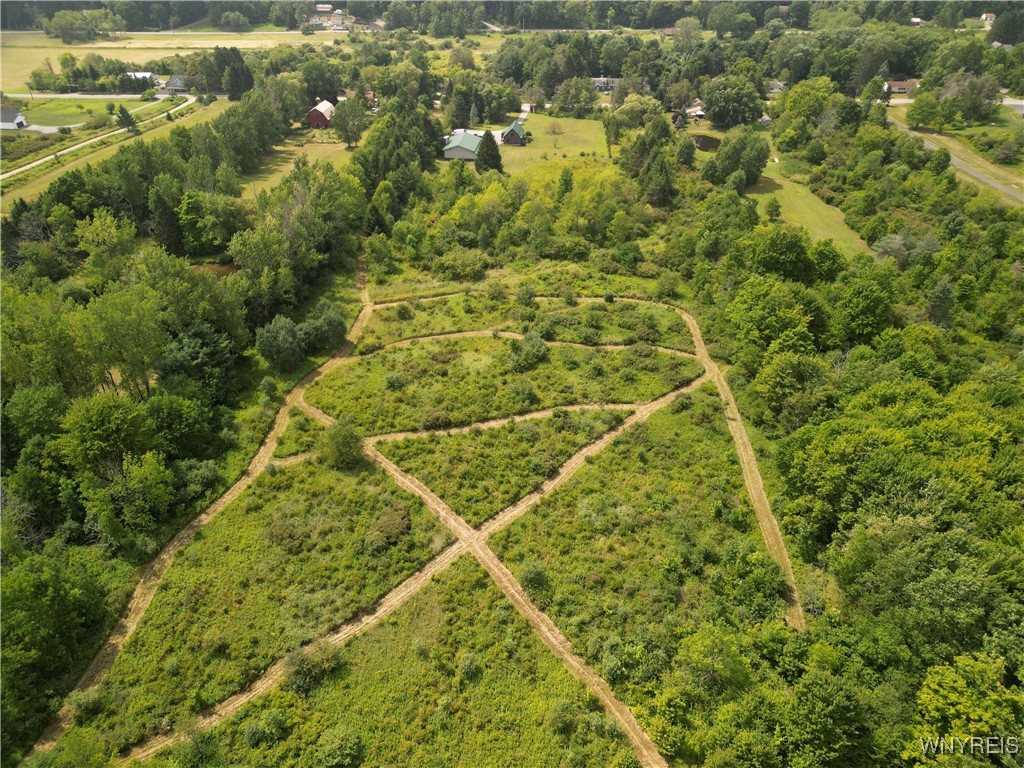 photo wF:  Hayes Hollow Road, Colden NY 14033