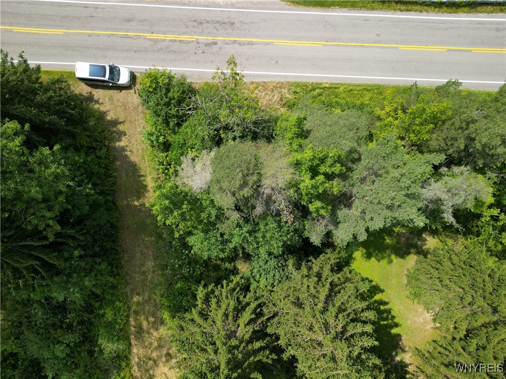 photo 2 :  Hayes Hollow Road, Colden NY 14033