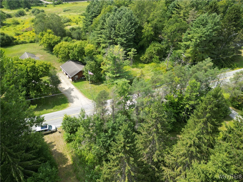 photo 3 :  Hayes Hollow Road, Colden NY 14033