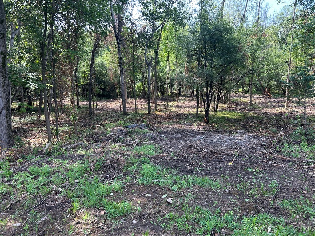 photo undefined: 0 Ridge Road, Watertown Town NY 13601