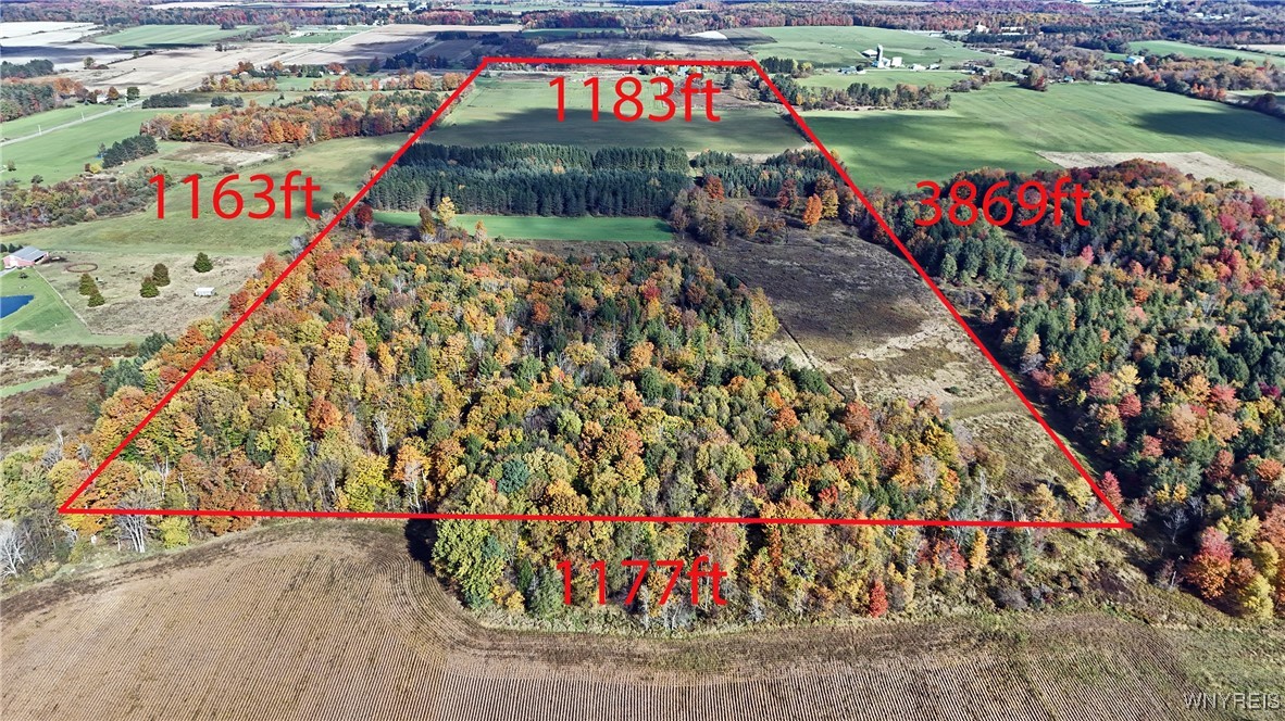 photo 2 : 5195 Genesee Road, North Collins NY 14141