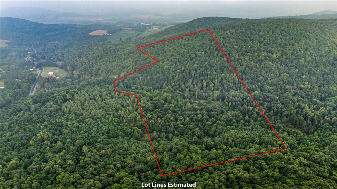 photo 2 : 0 Ruttin Rd Road, Scio NY 14880