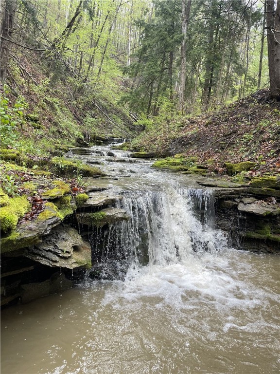 photo 4 : 0 Ruttin Rd Road, Scio NY 14880