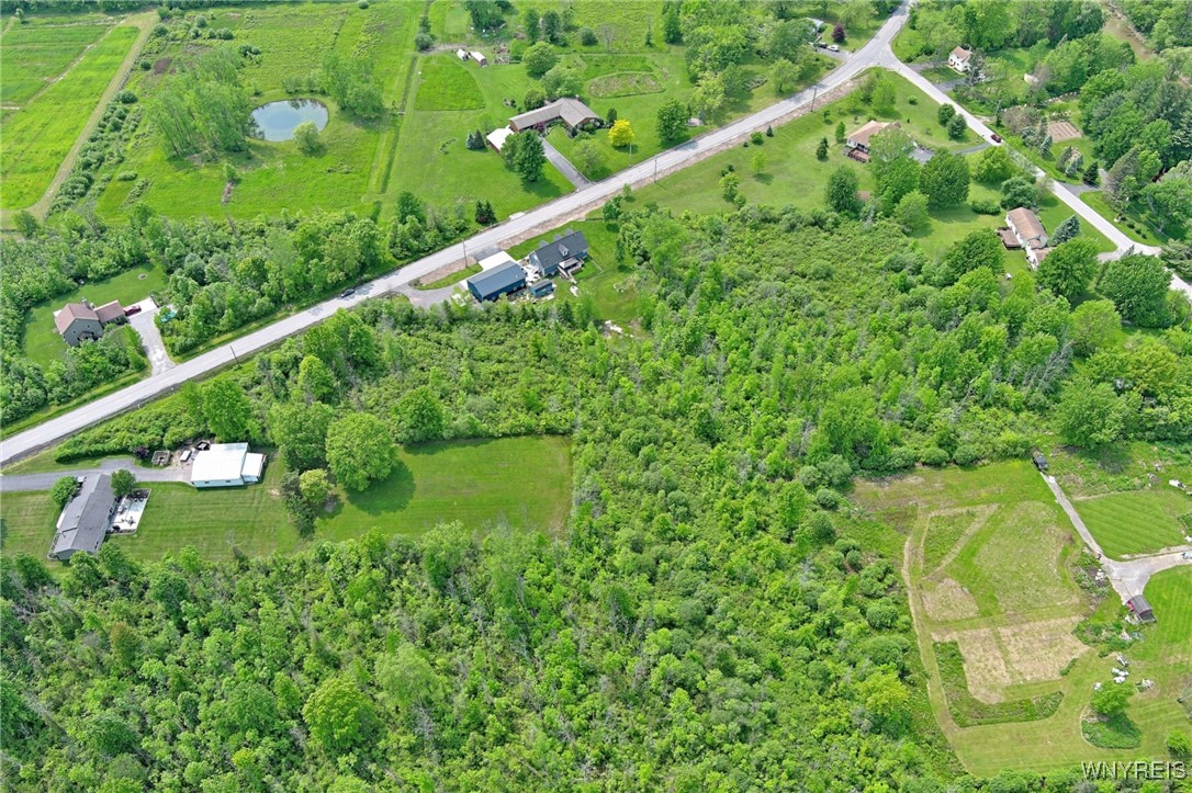 photo undefined:  Tonawanda Crk Road North, Clarence NY 14031