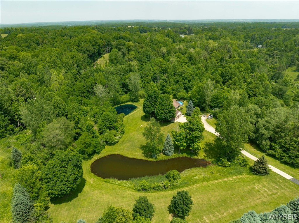 photo undefined: 2328 Gowanda Zoar Road, Collins NY 14070