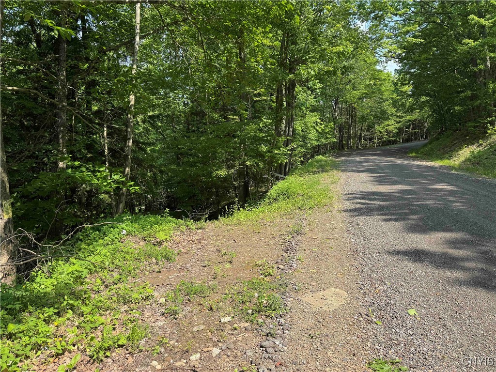 photo 2 :  Indian Creek Road, Olean NY 14760