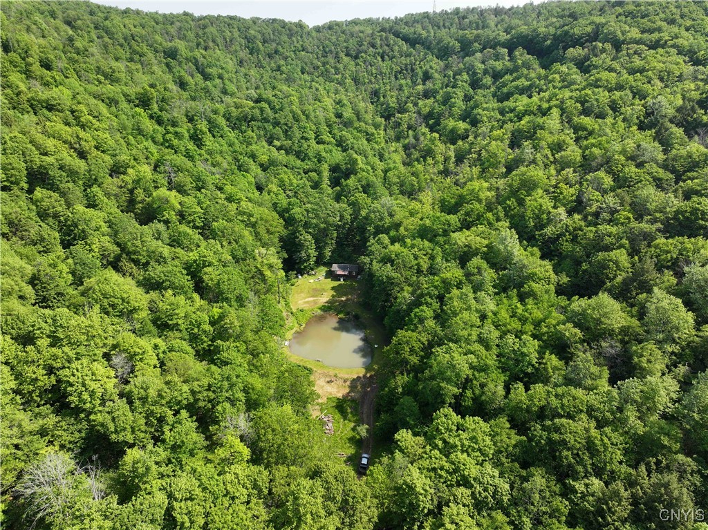 photo 4 :  Indian Creek Road, Olean NY 14760