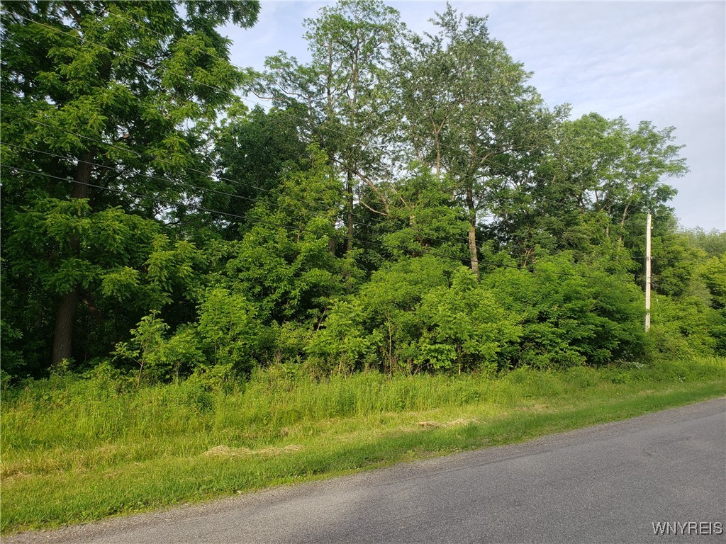 photo undefined: 3835 Chase Road, Hartland NY 14105