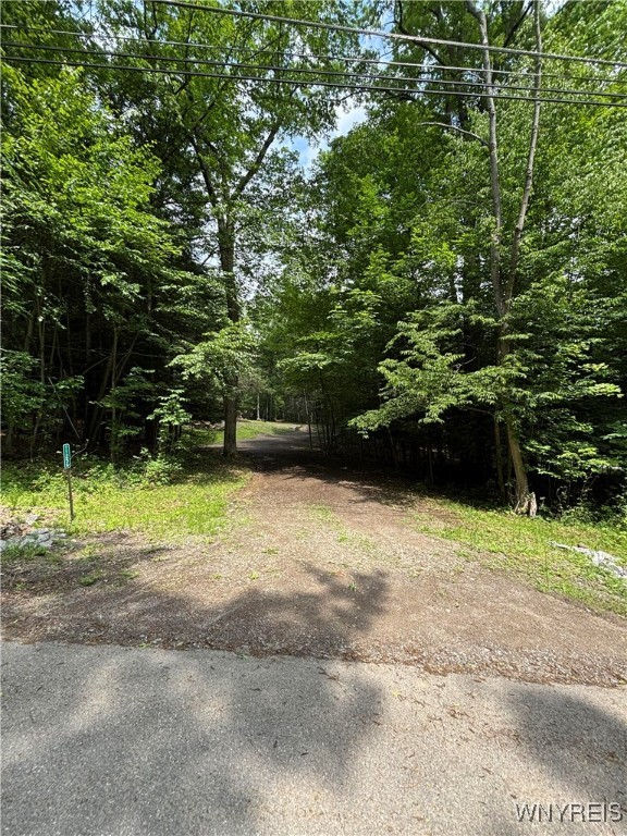photo undefined: 11256 Blanchard Road, Holland NY 14080
