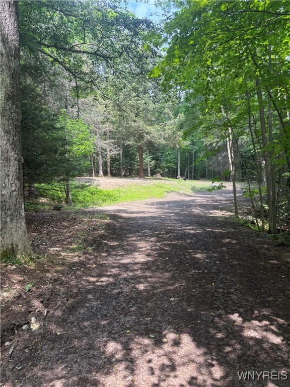 photo undefined: 11256 Blanchard Road, Holland NY 14080
