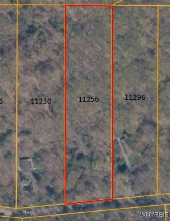 photo JpLXk5GIDbcUM: 11256 Blanchard Road, Holland NY 14080