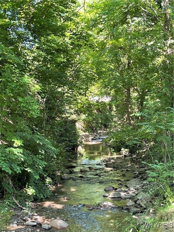 photo undefined: 43 Union Street, Collins NY 14070