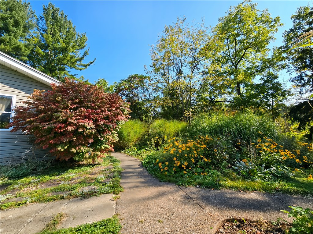 photo undefined: 10849 New Oregon Road, North Collins NY 14111