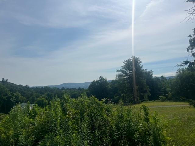 photo undefined: 2883 State Route 145, Middleburgh NY 12157