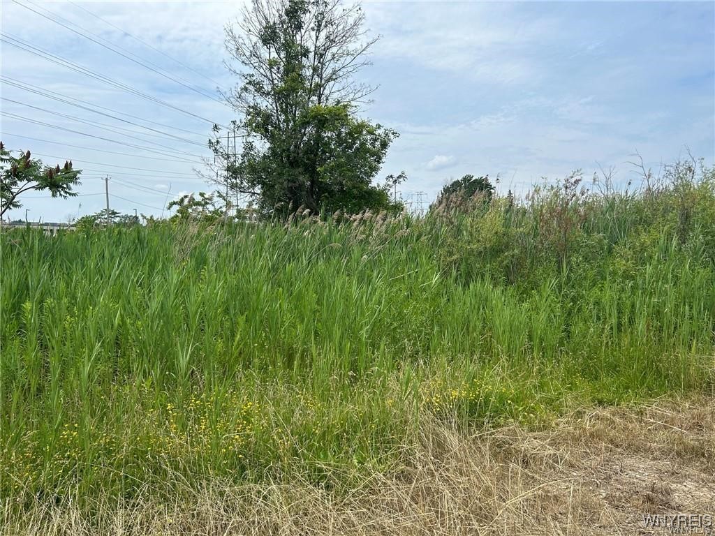 photo undefined: 0 Williams Road West, Wheatfield NY 14304