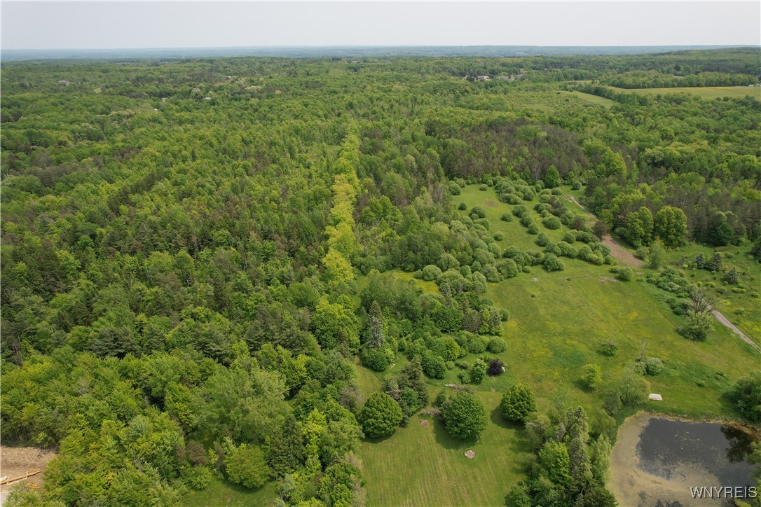 photo undefined: 6731 Chestnut Ridge Road, Orchard Park NY 14127