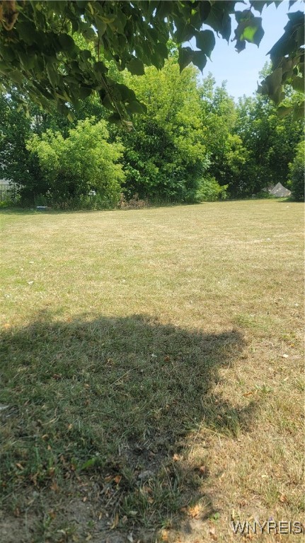 photo 3 : 51-55 Brownell Street, Buffalo NY 14212