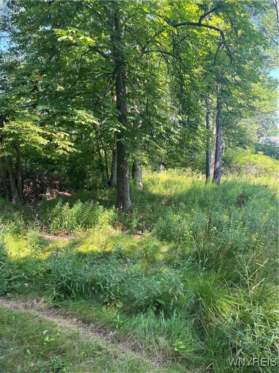 photo 3 : 36 Irvington Drive, Amherst NY 14228