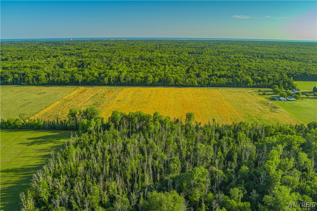photo 2 : VL Seaman Road, Hartland NY 14067