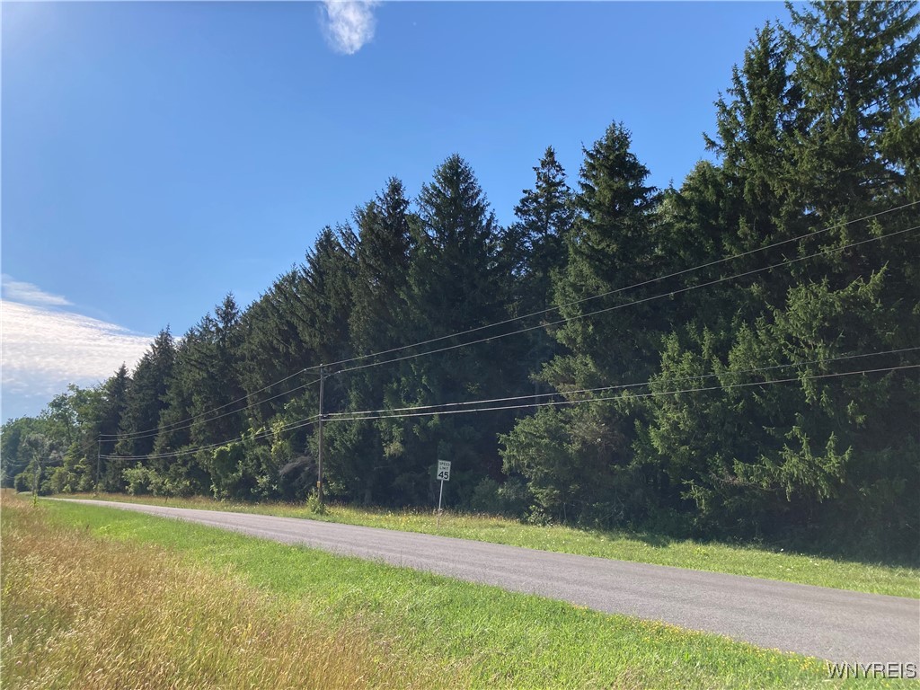 photo undefined:  Brucker Road, Newstead NY 14001