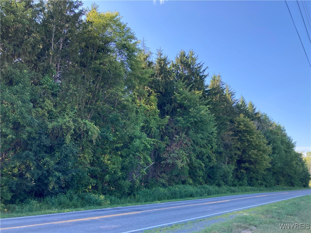 photo undefined:  Brucker Road, Newstead NY 14001