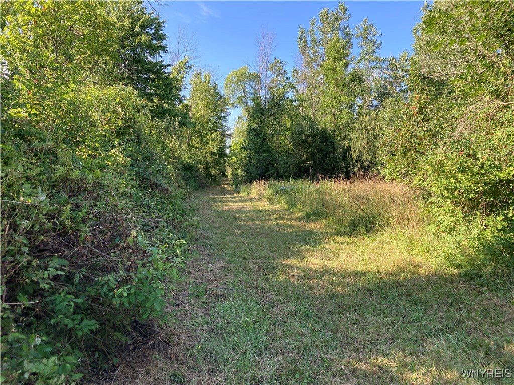 photo undefined:  Brucker Road, Newstead NY 14001