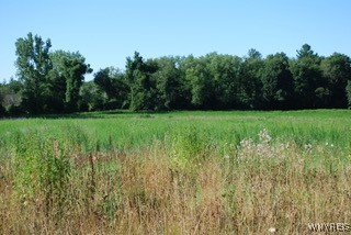 photo dkxq8Jcq3d2GA: 11154 Stage Road, Newstead NY 14001